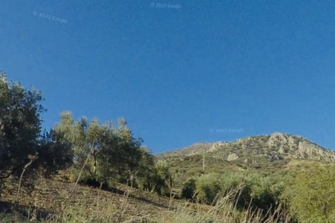 Finca i Mondron, Malaga, Mondron - € 26.000 | Ref: ID4388 - foto 6